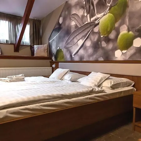Otel Oliva 4*
