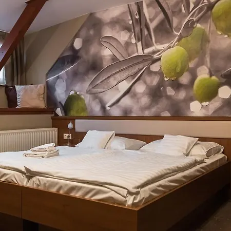 Hotell Oliva