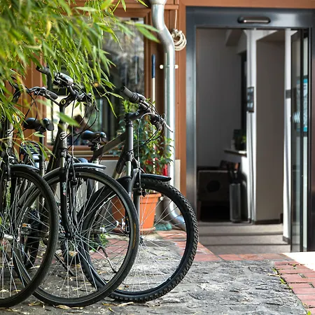 Oliva Hotel 4*