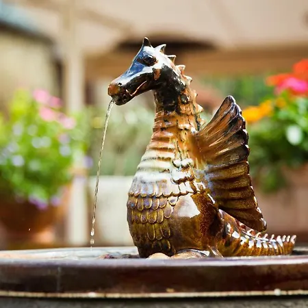 Oliva Hotell Veszprém